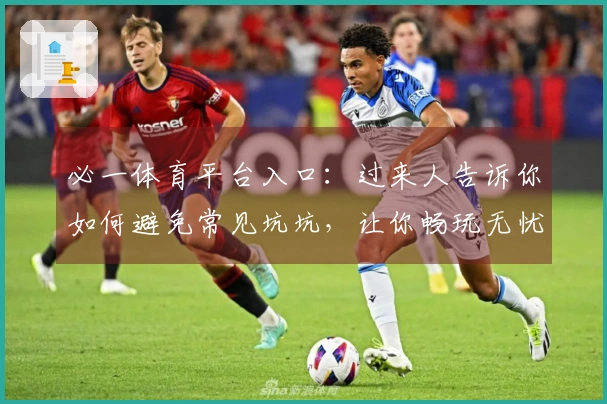 必一体育平台入口：过来人告诉你如何避免常见坑坑，让你畅玩无忧